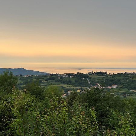 Guesthouse Green Istria Truške Екстериор снимка