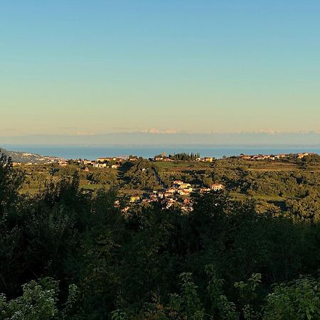 Guesthouse Green Istria Truške Екстериор снимка