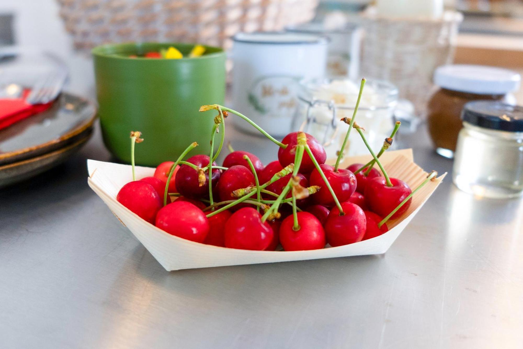 Guesthouse Green Istria Truške Екстериор снимка