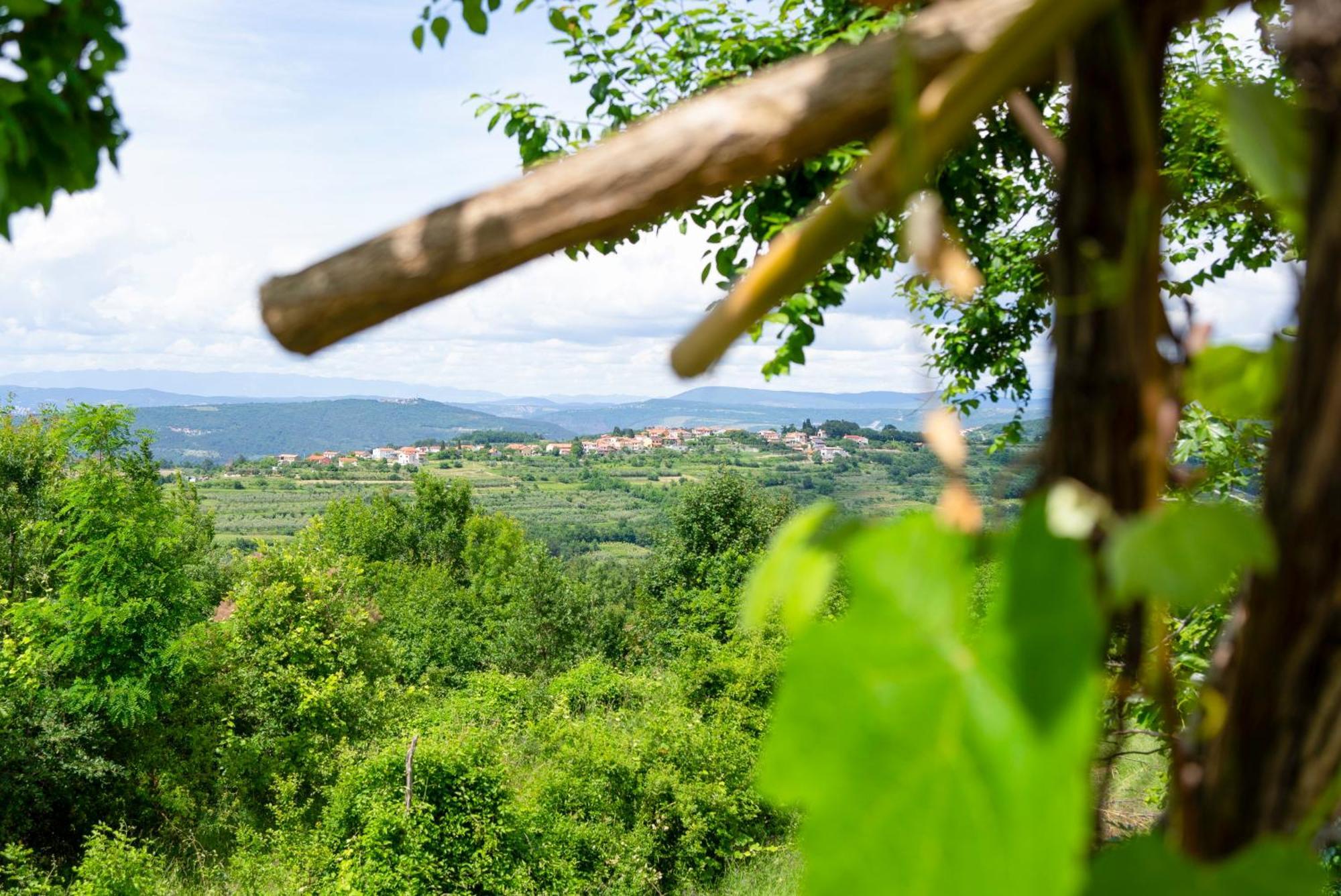 Guesthouse Green Istria Truške Екстериор снимка