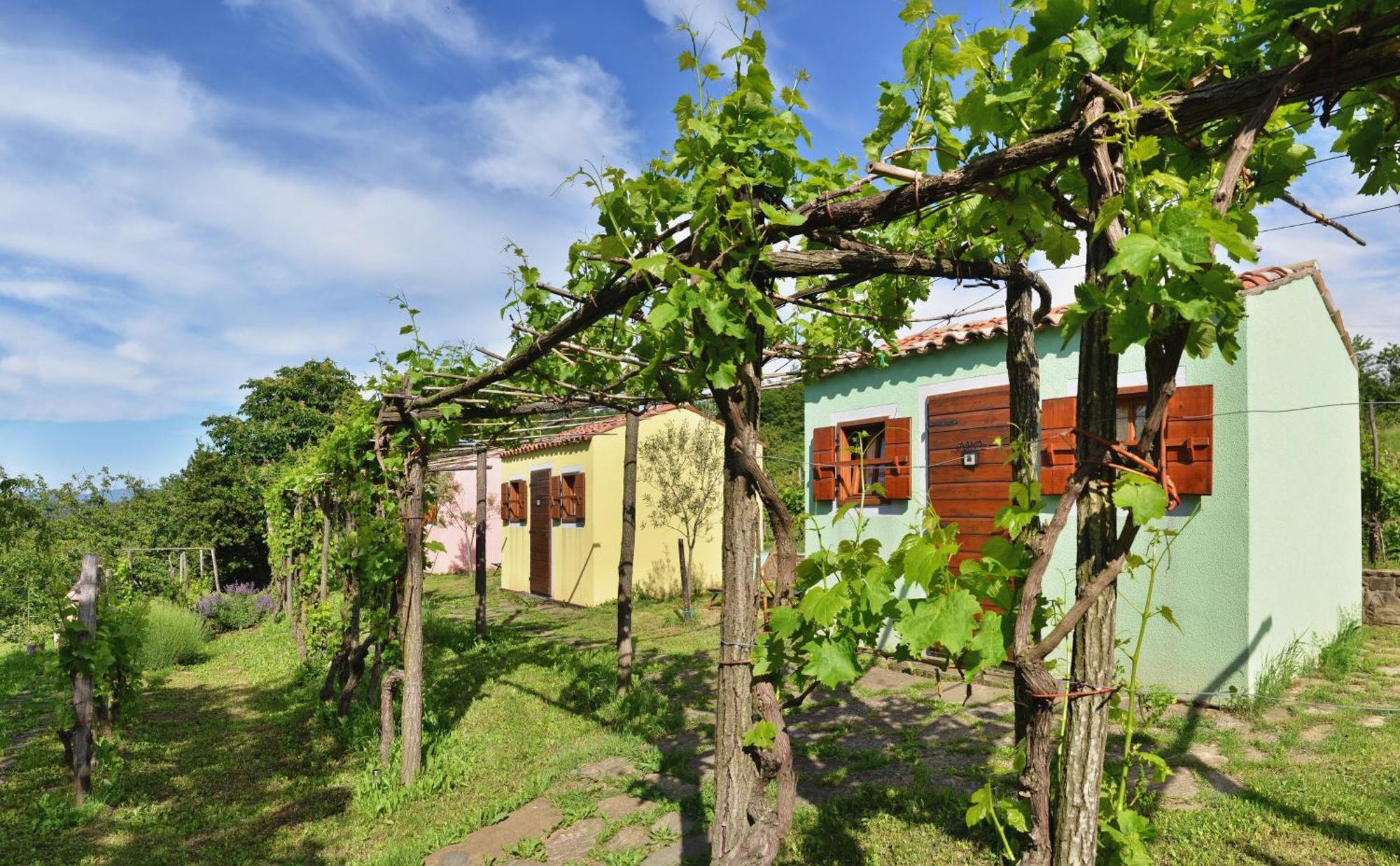 Guesthouse Green Istria Truške Екстериор снимка