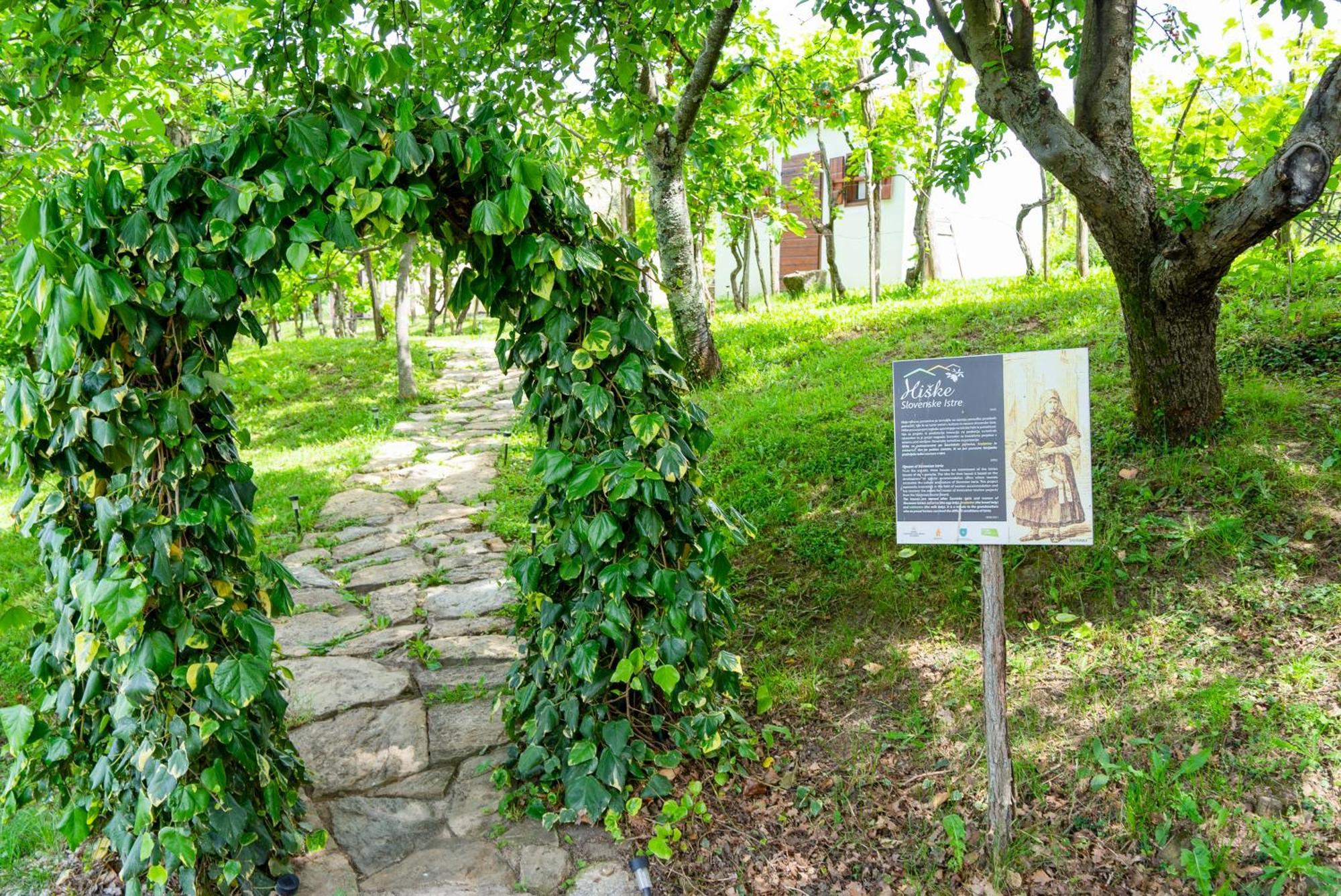 Guesthouse Green Istria Truške Екстериор снимка