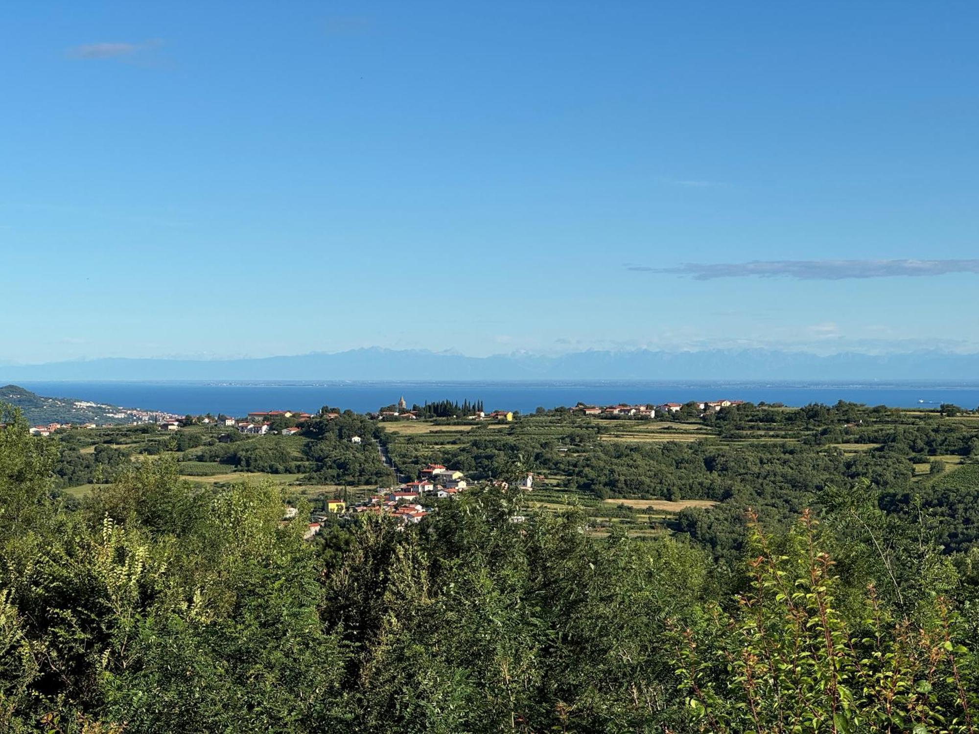 Guesthouse Green Istria Truške Екстериор снимка
