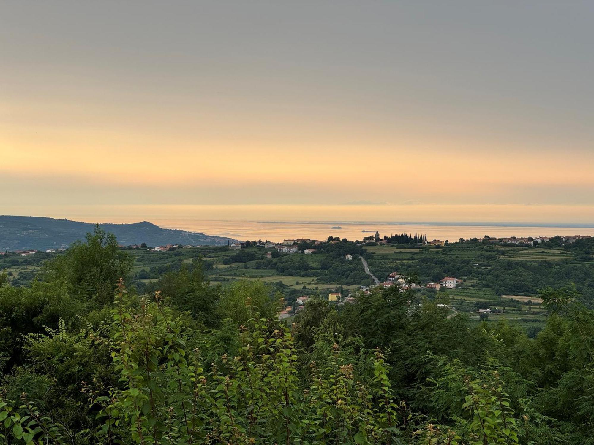 Guesthouse Green Istria Truške Екстериор снимка