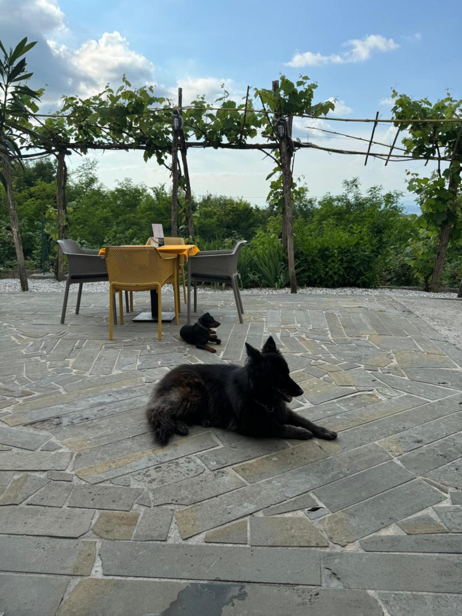Guesthouse Green Istria Truške Екстериор снимка