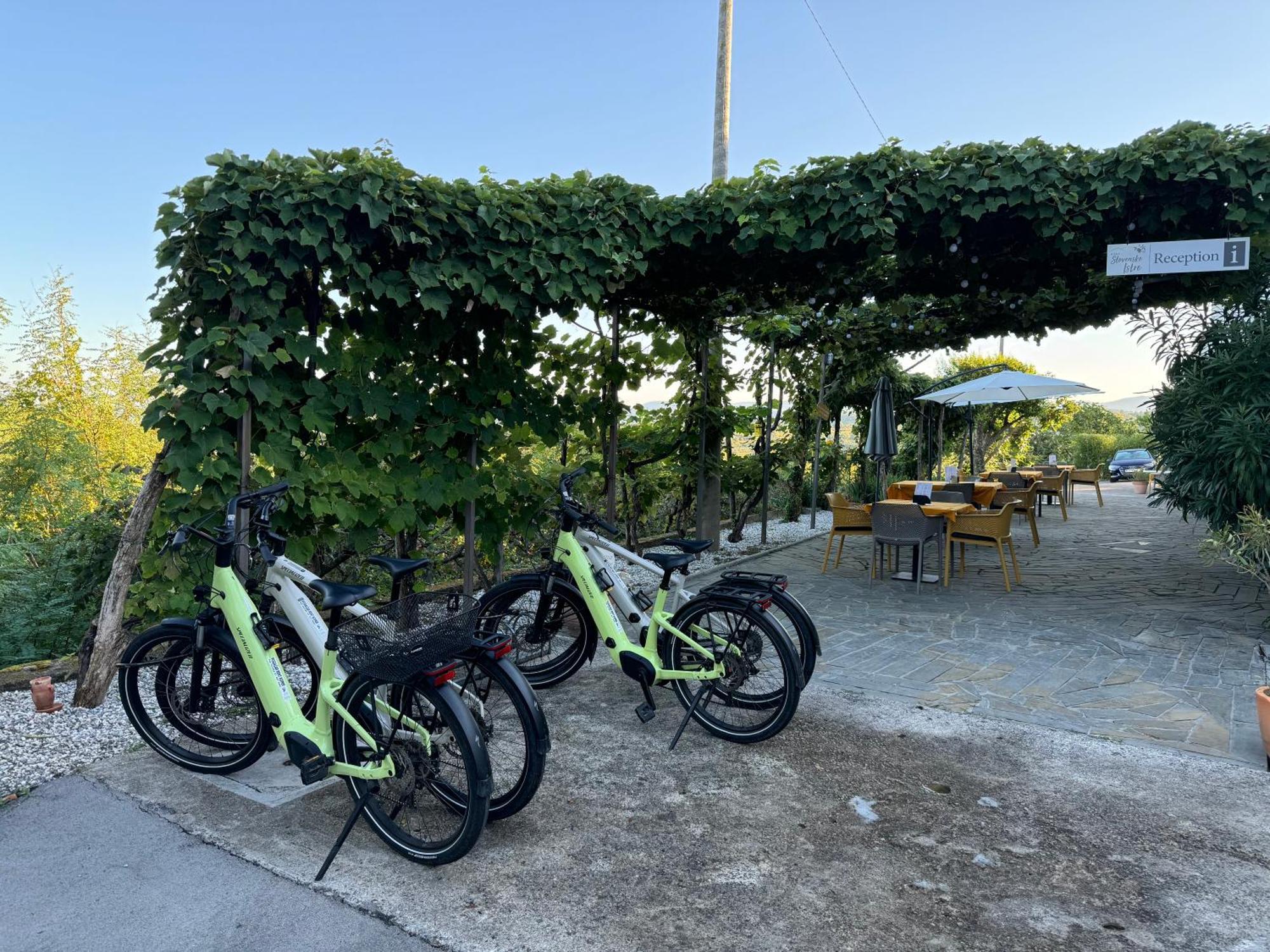 Guesthouse Green Istria Truške Екстериор снимка