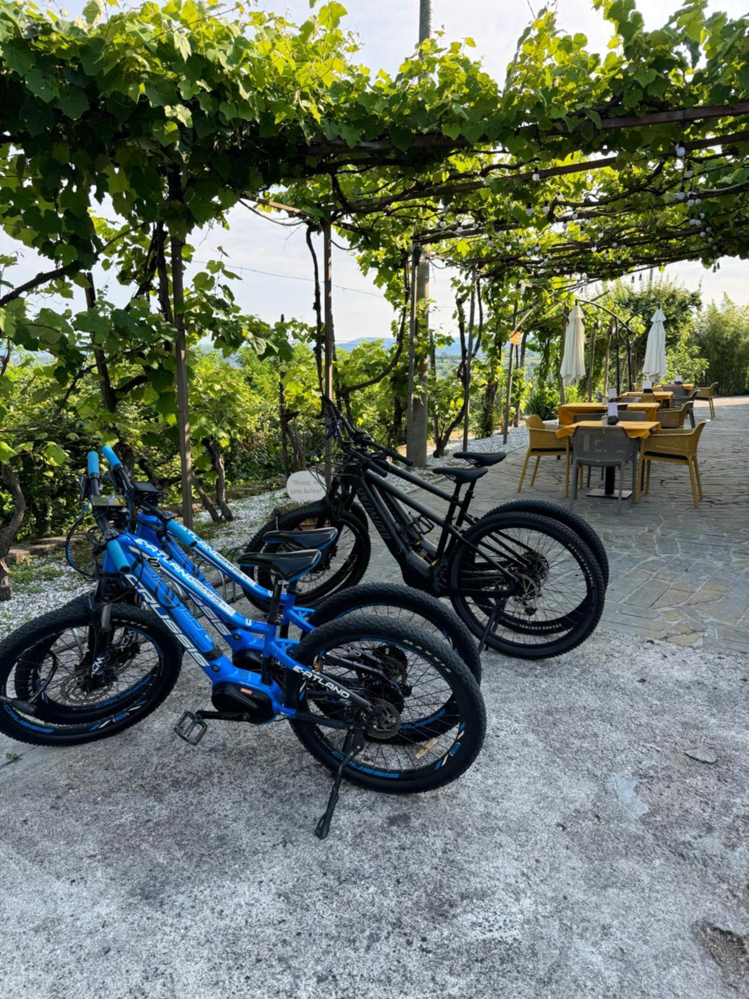 Guesthouse Green Istria Truške Екстериор снимка