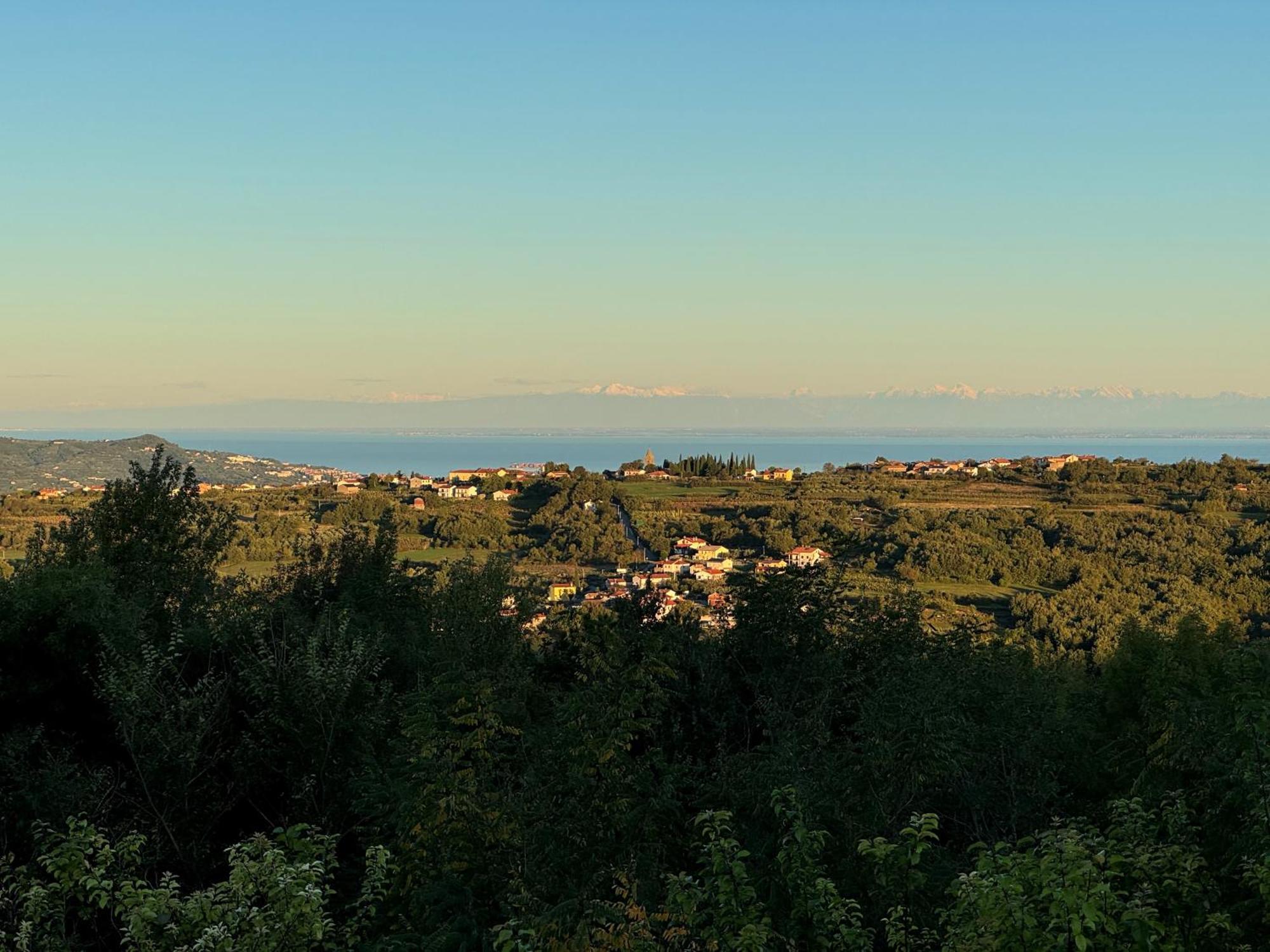 Guesthouse Green Istria Truške Екстериор снимка